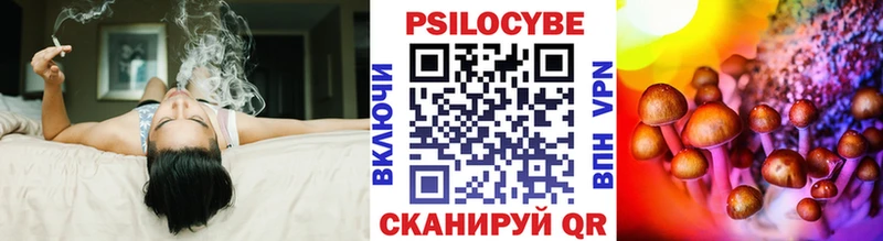 Псилоцибиновые грибы Psilocybe  Купить  Родники 