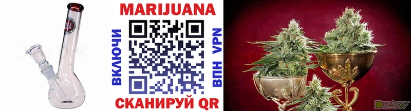 Купить закладки  Родники  Канабис THC 21% 